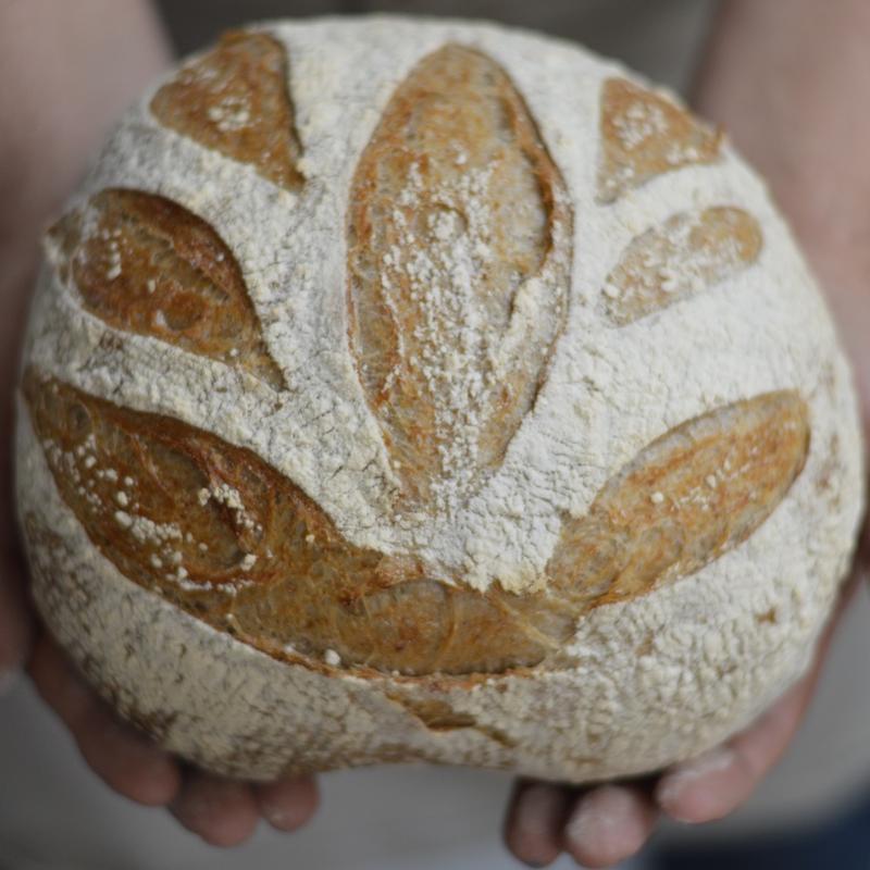 Sourdough Boules photo