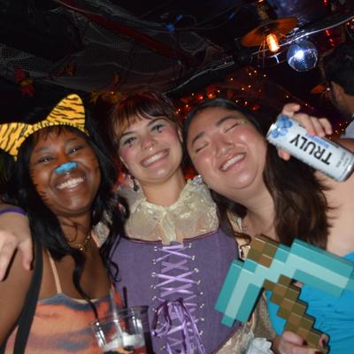 gallery photo number 385