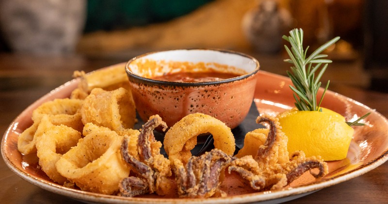 Calamari plate with marinara