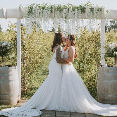 gallery photo number 14