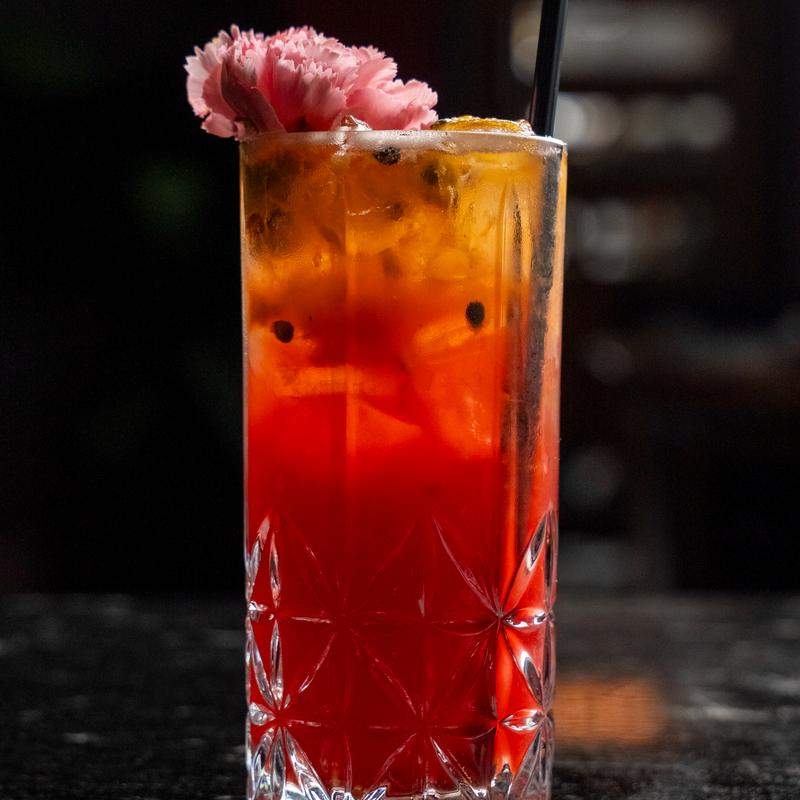 Passion – Hibiscus Paloma photo