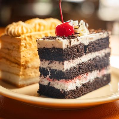 Two slices of layered cakes on a plate.