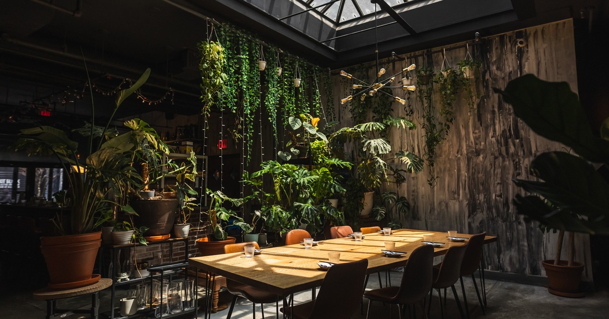 Interior, vibrant dining area surrounded by plants with beautiful natural lightning through the glass roof