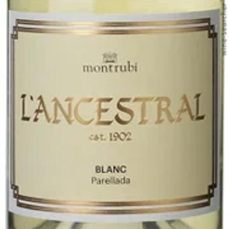 Sparkling Pet Nat White photo