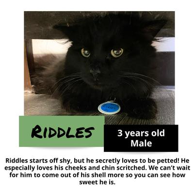 gallery photo number 11