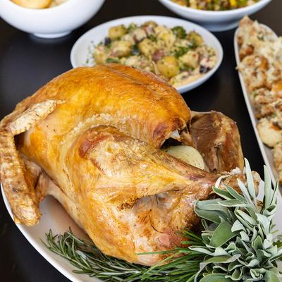 gallery photo number 122