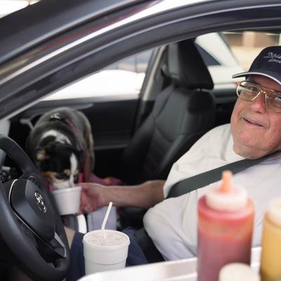 pup eating whip cream.