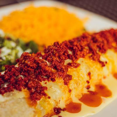 Close-up of Spicy Grilled Burrito