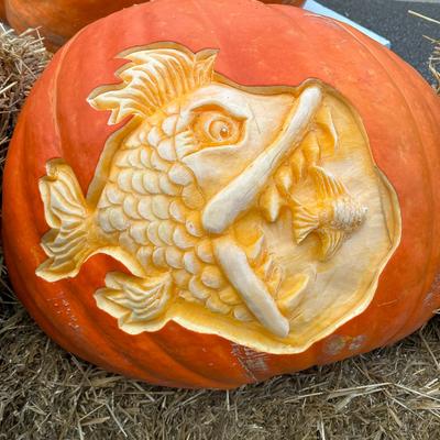 gallery photo number 10