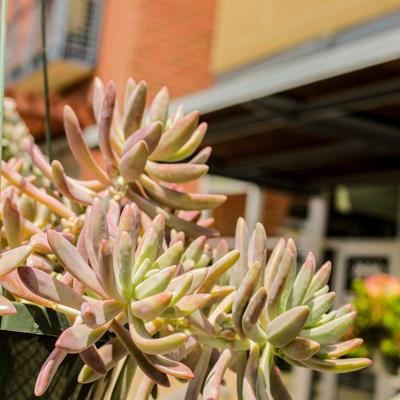 gallery photo number 118