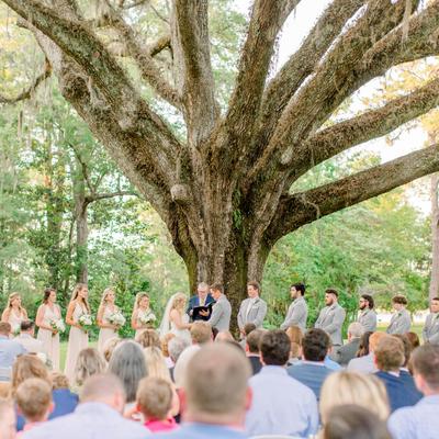 A wedding ceremony under a large tree.