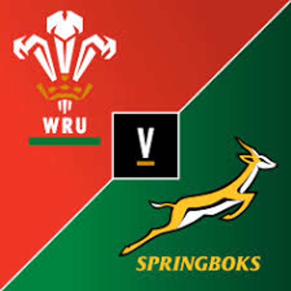 Wales v South Africa event photo