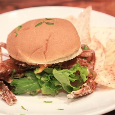 gallery photo number 267