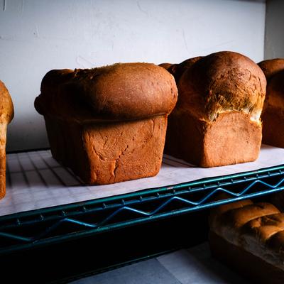 gallery photo number 4