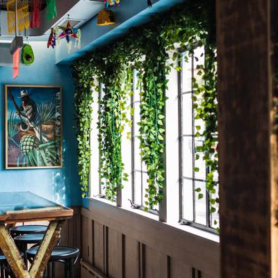 gallery photo number 11