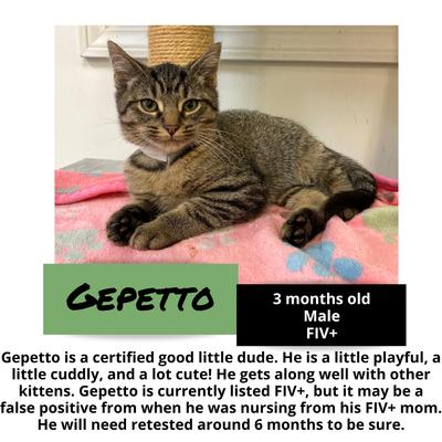 gallery photo number 17