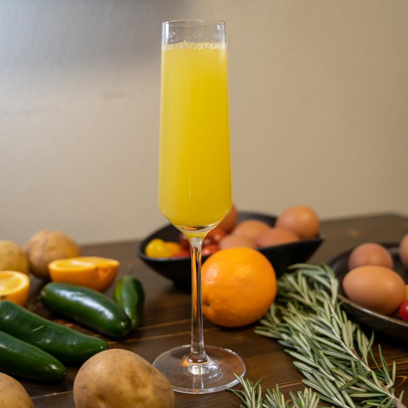 House Mimosa photo