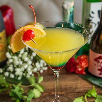 gallery photo number 9