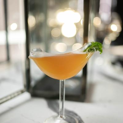 Fly Like a Bird cocktail with mint.