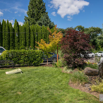 Garden natural ornaments, tall bushes