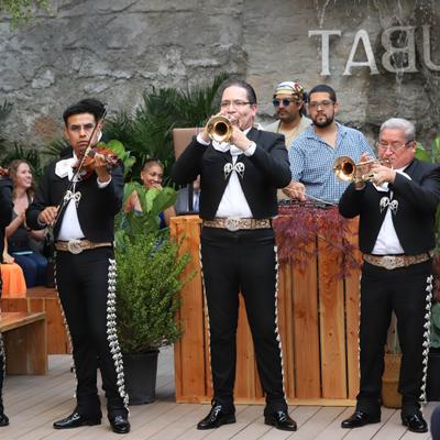 gallery photo number 7