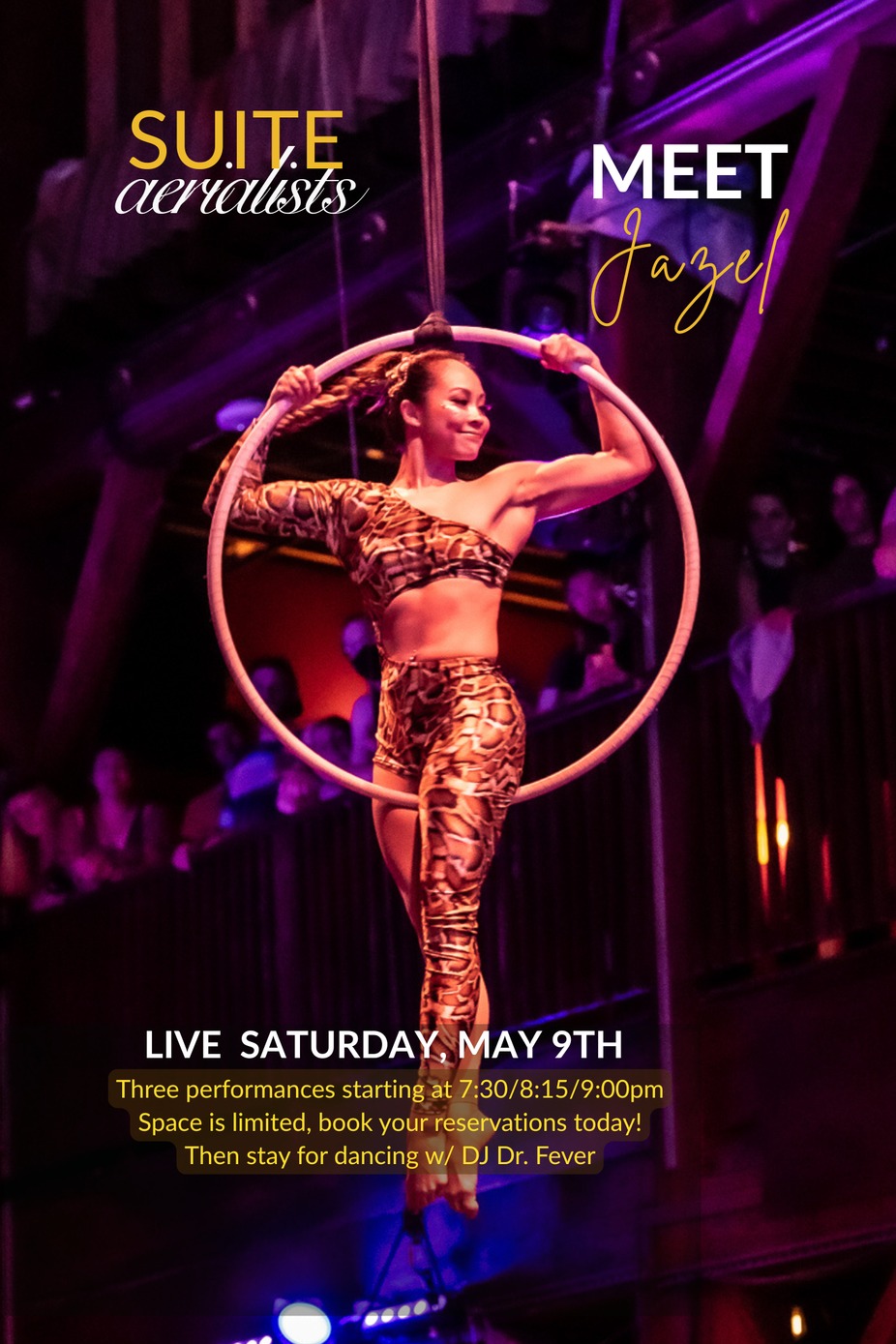 Live Aerial Performances every Saturday event photo