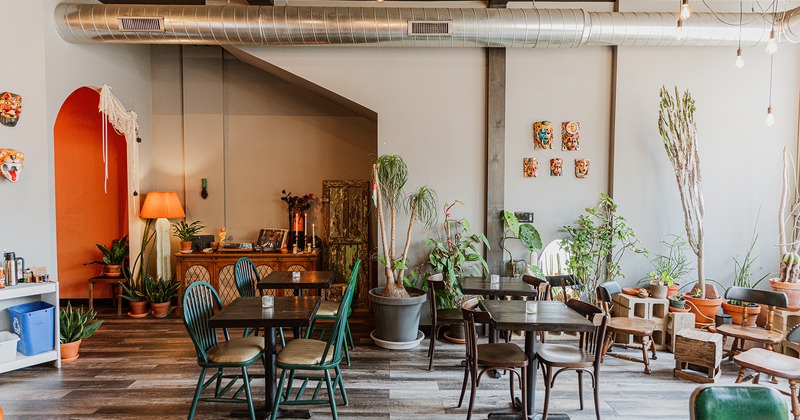 A cozy seating area decorated with a lot of plants