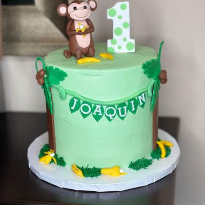 gallery photo number 241