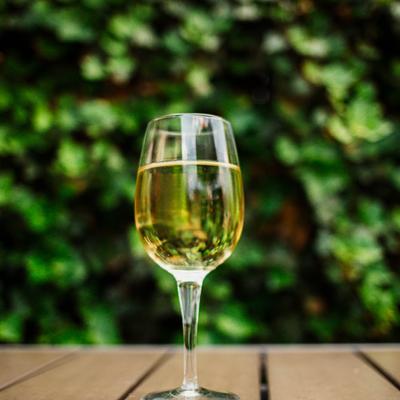 gallery photo number 5