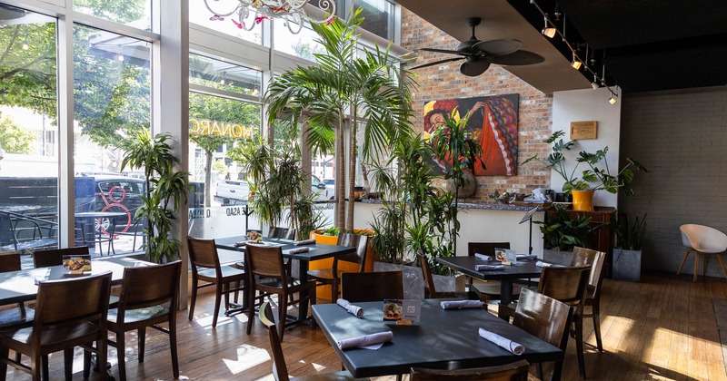Interior, dining area near large windows and plants