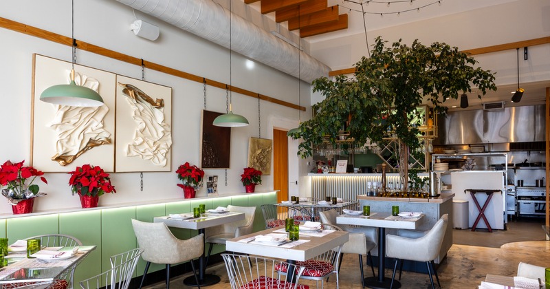 Diner area, tables, chairs, plant decoration