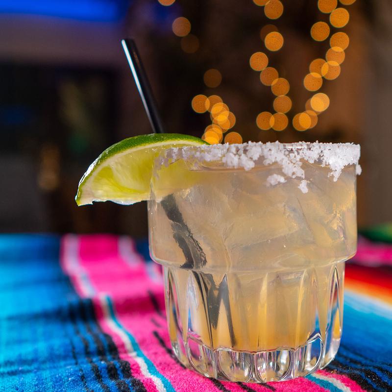 House (Regular) Margarita photo