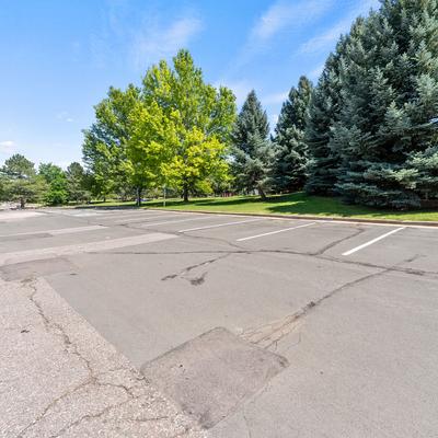 Parking with tree area in background