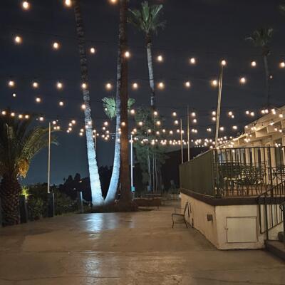 gallery photo number 137