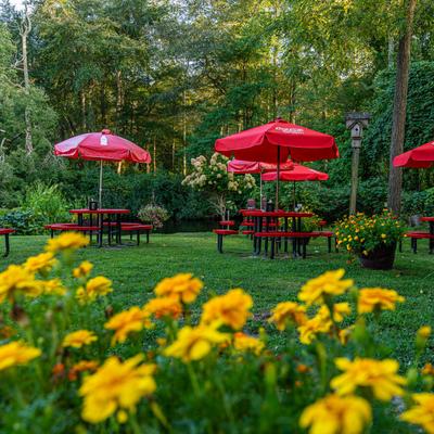 Garden seating area.