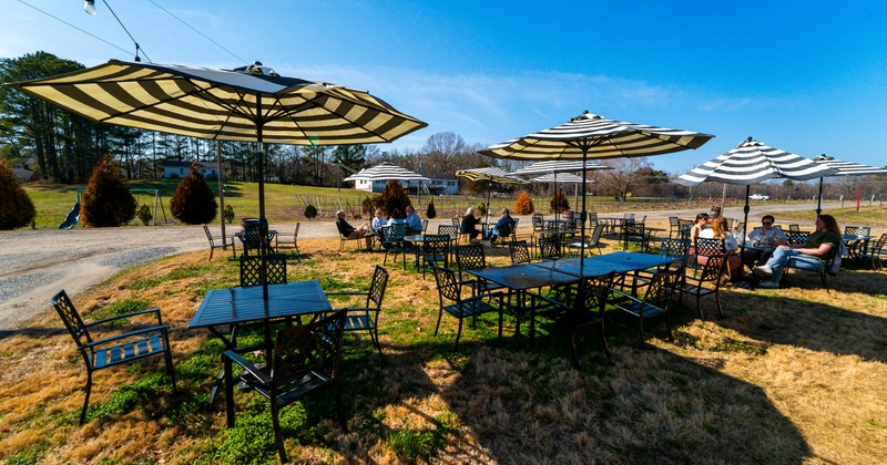 Vineyard patio, tables, chairs, parasols