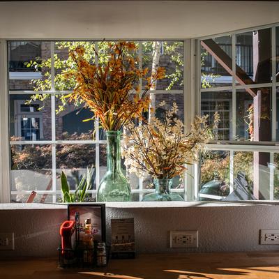 A view through the window, plants and decorations.
