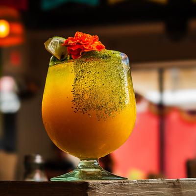 gallery photo number 31