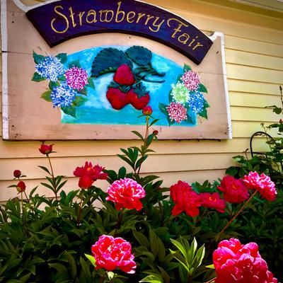 gallery photo number 34