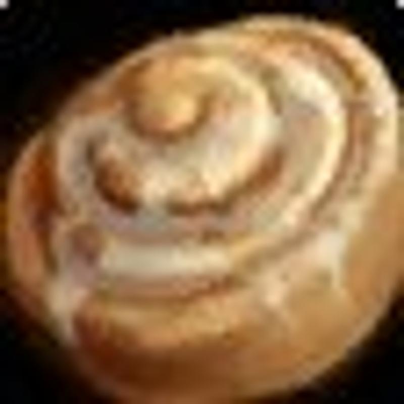 Conjured Cinnamon Roll photo