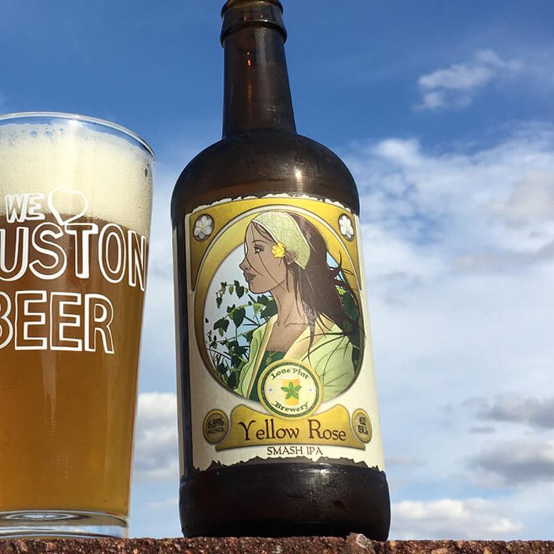 Lone Pint Yellow Rose photo