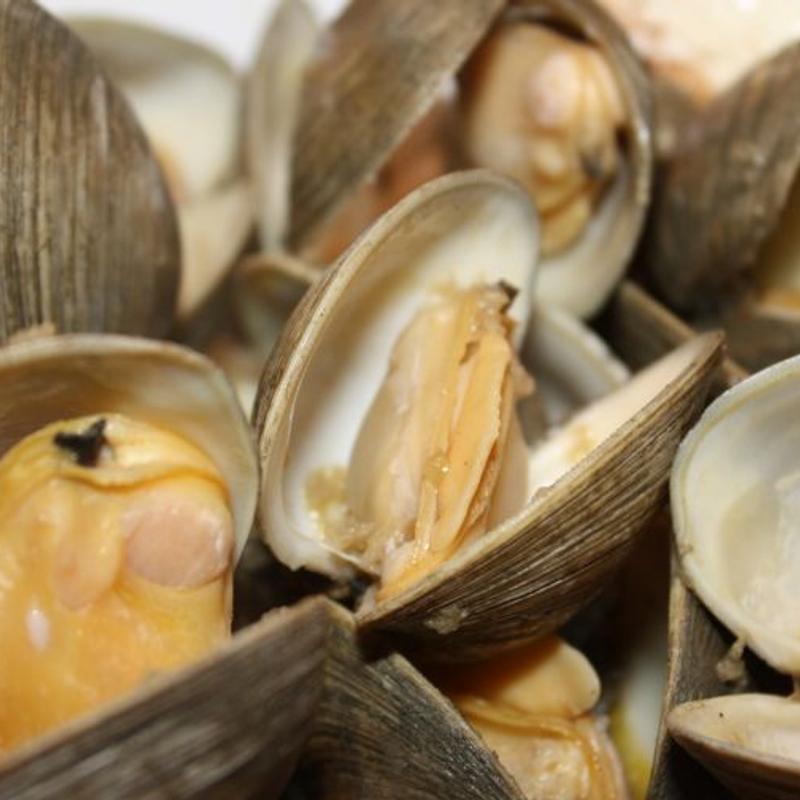Little Neck Clams* photo