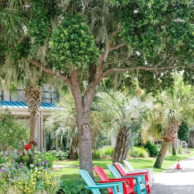 Exterior, garden seating under the tree.