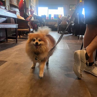 gallery photo number 6