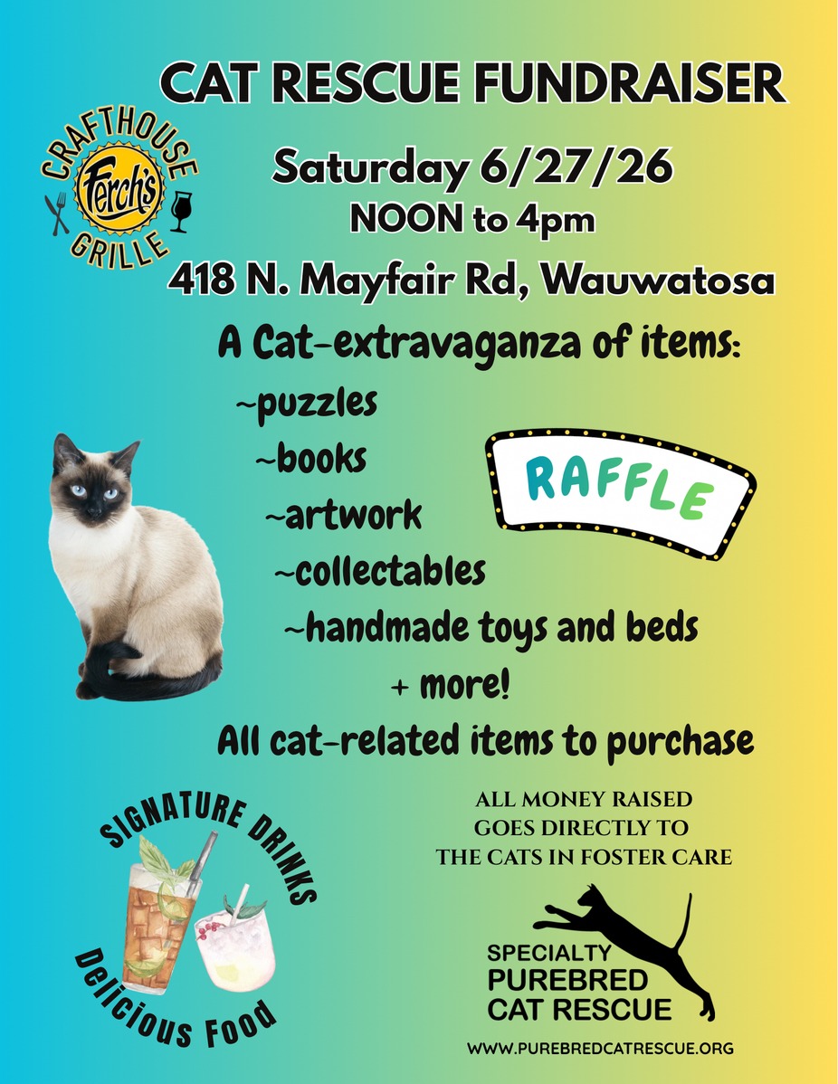 Cat Rescue Fundraiser event photo
