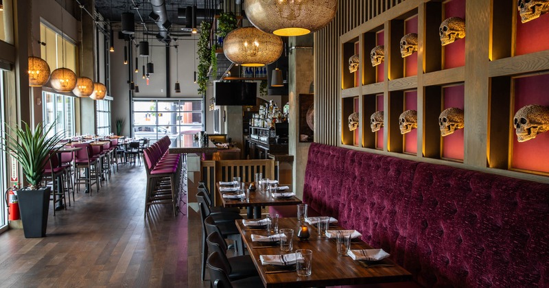 Interior, dining area