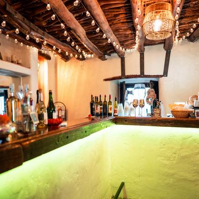 Interior,  bar area.