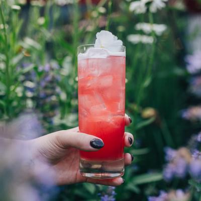 gallery photo number 28