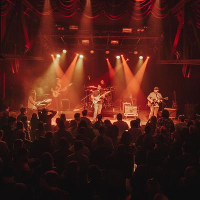 gallery photo number 311