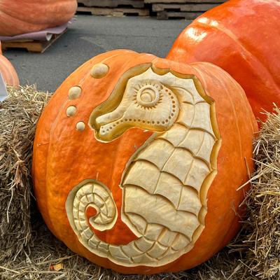 gallery photo number 11